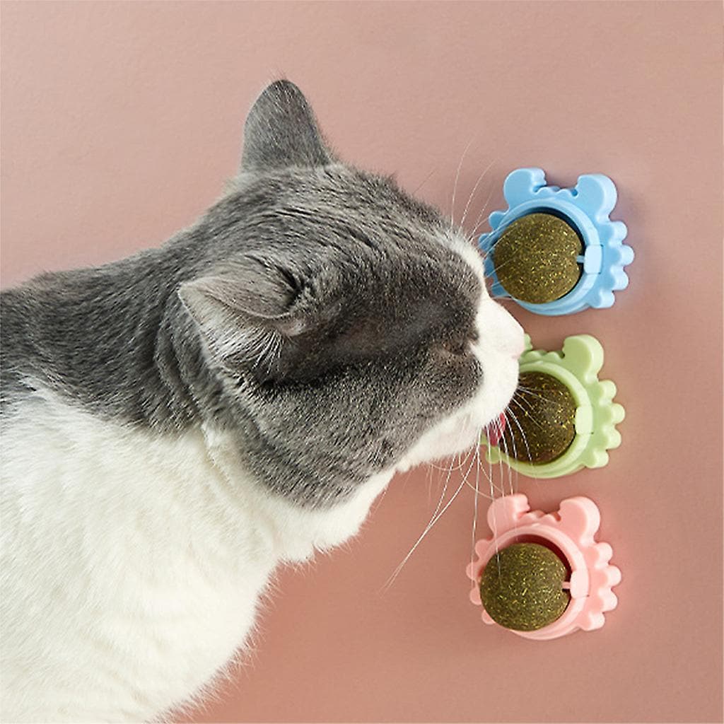 Interactive Catnip Treats | Een must-have eetbaar speeltje voor katten