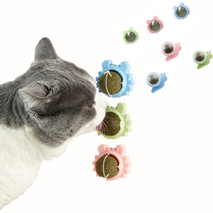 Interactive Catnip Treats | Een must-have eetbaar speeltje voor katten